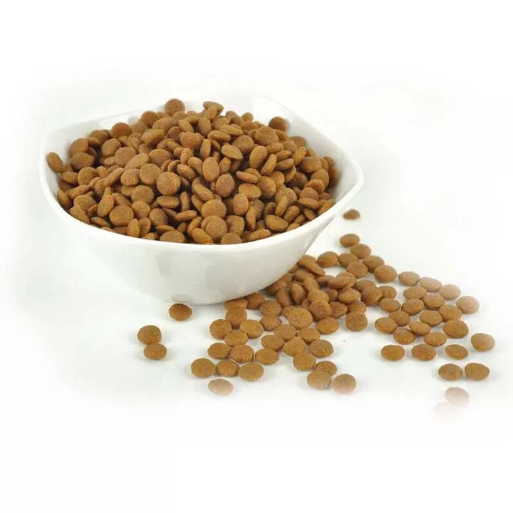 ¿Qué Debe Haber En La Comida Para Perros? 4 Dog food