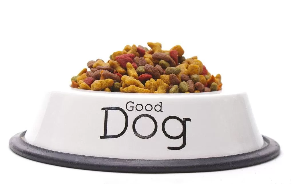 Comment La Nourriture Sèche Pour Chiens Est-Elle Fabriquée? 3 Dog food