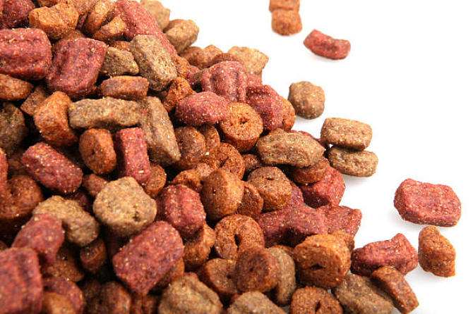 Working Process Of Mesh Belt Dryer 4 Pet food