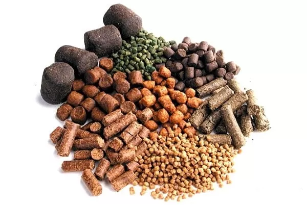 Solve Your Five Questions About The Fish Food Pellet Machine 1 891 16020211491oy