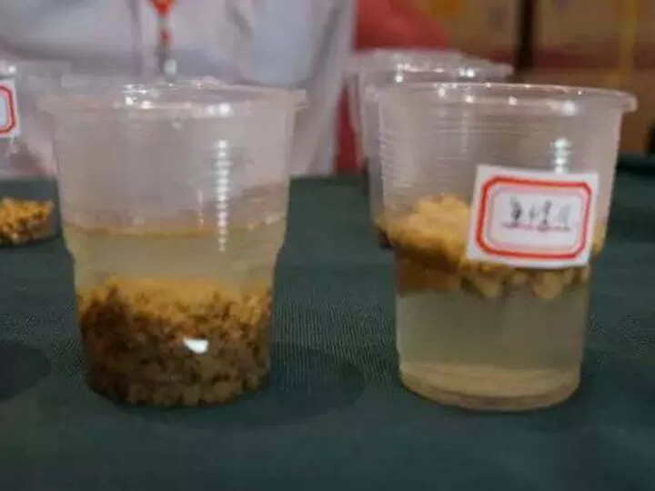 Small Fish Pellet Machine For Sale 6 Floating fish feed pellet and sinking fish feed pellet