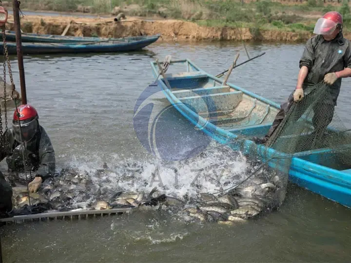 fish farm