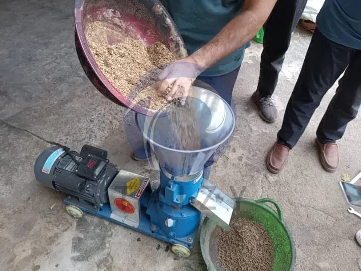 Chức năng của máy ép viên thức ăn điện là gì? 4 Đổ nguyên liệu vào máy ép viên thức ăn để thực hiện bước nghiền tiếp theo