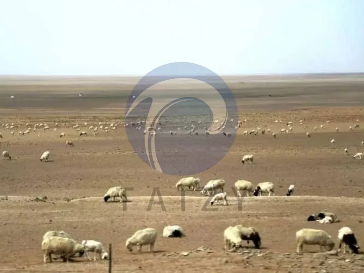 Mauritanian land desert