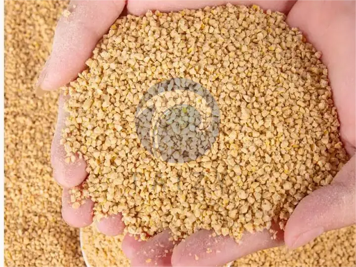 young chicken feed