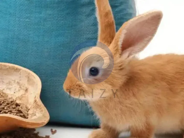 bunny food pellets for rabbit