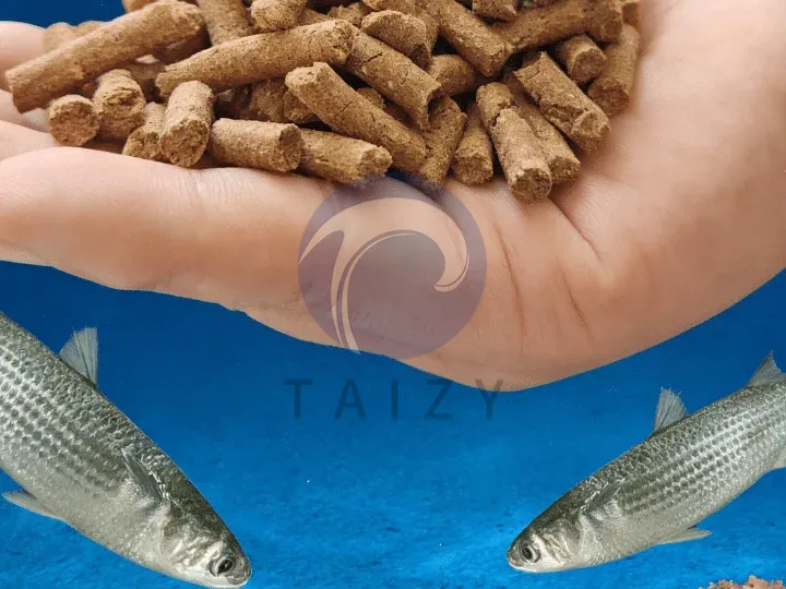 бизнес по выращиванию рыбы