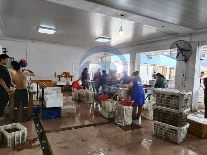 vietnam local aquaculture cooperative